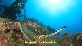  Presentation with sea - PPT theme having banded-sea-snake-and-scuba background and a tawny brown colored foreground
