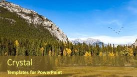  Presentation with spruce - Slide deck having banff-in-the-rocky-mountains background and a tawny brown colored foreground