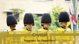  Presentation with celebrate - 