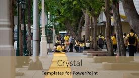  Presentation with celebrate - 