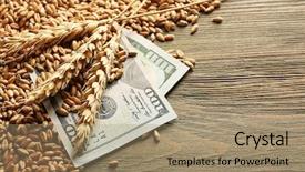  Presentation with grains - Beautiful PPT layouts featuring banknote and wheat grains agricultural backdrop and a coral colored foreground