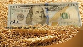  Presentation with grains - Slides having banknote and wheat grains agricultural background and a  colored foreground