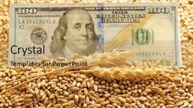  Presentation with agricultural biotechnology - PPT theme with banknote and wheat grains agricultural background and a  colored foreground