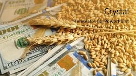  Presentation with agricultural biotechnology - Beautiful PPT layouts featuring banknotes and wheat grains agricultural backdrop and a  colored foreground