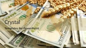  Presentation with grains - Cool new theme with banknotes and wheat grains agricultural backdrop and a  colored foreground