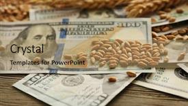  Presentation with agricultural - Cool new presentation theme with banknotes and wheat grains agricultural backdrop and a  colored foreground