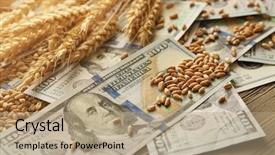  Presentation with agricultural micro irrigation - Audience pleasing PPT theme consisting of banknotes and wheat grains agricultural backdrop and a coral colored foreground