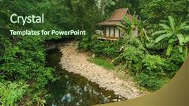  Presentation with jungle - Amazing slides having banks of the creek backdrop and a tawny brown colored foreground