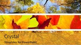  Presentation with set of different dental tools - Beautiful presentation theme featuring 5 different autumn's banner backdrop and a gold colored foreground