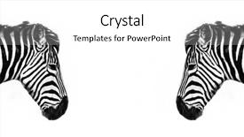  Presentation with social media - Audience pleasing PPT theme consisting of banner in popular social media backdrop and a white colored foreground