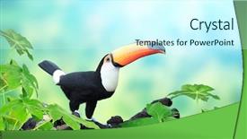  Presentation with banner blue - PPT layouts with tucan - horizontal banner with beautiful colorful background and a cool aqua colored foreground