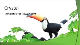  Presentation with colorful sunrise borobudur temple - Audience pleasing presentation design consisting of tucan - horizontal banner with beautiful colorful backdrop and a white colored foreground