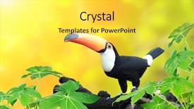  Presentation with yellow color - Amazing presentation design having avian - horizontal banner with beautiful colorful backdrop and a yellow colored foreground