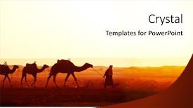  Presentation with camel caravan - PPT theme enhanced with banner with caravan of camel background and a white colored foreground