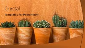  Presentation with flower pots - Theme having banner-with-five-succulent background and a gold colored foreground