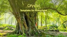  Presentation with banyan tree - PPT layouts enhanced with banyan-tree-under-sunshine background and a tawny brown colored foreground