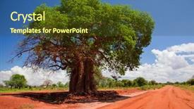 Presentation with kenya - Slides featuring baobab tree on red soil background and a tawny brown colored foreground