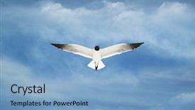  Presentation with rock - PPT theme having baptized - seagulls on a rock background and a light blue colored foreground