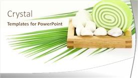  Presentation with green leaf - Cool new PPT theme with bar-of-glycerine-soap backdrop and a cream colored foreground