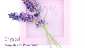  Presentation with natural soap - Amazing theme having bar of natural soap with fresh lavender isolated on white backdrop and a pink colored foreground