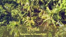  Presentation with philippines - Slide deck consisting of barangay - aerial view of palm trees background and a tawny brown colored foreground