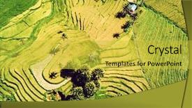  Presentation with philippines - Slide deck having barangay - aerial view of rice terraces background and a yellow colored foreground