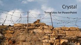  Presentation with barbed wire on the sky - PPT layouts featuring barbeq - cat on stone wall background and a light blue colored foreground