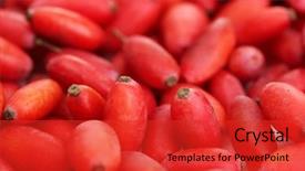 Presentation with barberries - Theme consisting of barberry - ripe barberries close up background and a red colored foreground