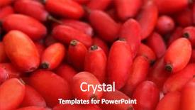  Presentation with barberry - Presentation theme consisting of barberry - ripe barberries close up background and a crimson colored foreground