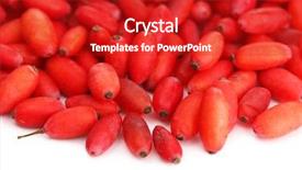  Presentation with barberries - Audience pleasing presentation theme consisting of barberry - ripe barberries isolated white backdrop and a crimson colored foreground