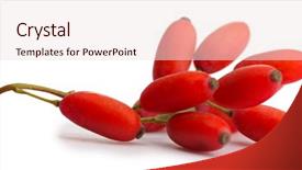  Presentation with barberry - Slide set enhanced with only cooked cutting pizza standing by the window background and a tawny brown colored foreground