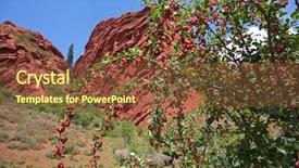  Presentation with barberry - PPT theme with barberry berries on a bush background and a tawny brown colored foreground