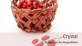  Presentation with barberry - Theme having barberry branch with ripe berries background and a  colored foreground