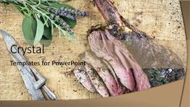  Presentation with barbecue food truck - Colorful PPT theme enhanced with barbie - barbecue haunch of venison backdrop and a coral colored foreground