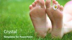  Presentation with daisy - Beautiful theme featuring bare - woman legs with daisy backdrop and a tawny brown colored foreground