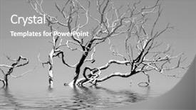  Presentation with water dessalement - Audience pleasing presentation consisting of bare tree in the water backdrop and a gray colored foreground