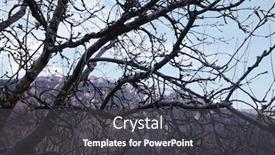  Presentation with himachal pradesh - Amazing PPT layouts having bare-trees-in-a-forest backdrop and a dark gray colored foreground