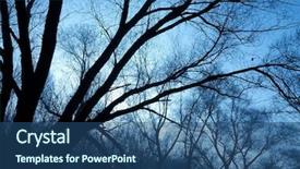  Presentation with winter forest - Amazing presentation having bare trees of a forest backdrop and a ocean colored foreground