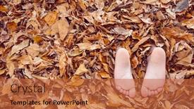  Presentation with fall leaves - Beautiful slide set featuring barefoot-child-s-feet-buried backdrop and a red colored foreground