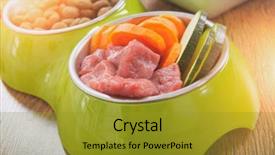  Presentation with dog food - Slide deck having barf - natural food in a bowl background and a gold colored foreground