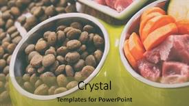  Presentation with dog food - Audience pleasing PPT theme consisting of barf - natural food in a bowl backdrop and a gold colored foreground