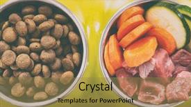  Presentation with dog food - Cool new slide deck with barf - natural food in a bowl backdrop and a gold colored foreground