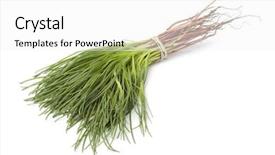  Presentation with bunch - Slides enhanced with barilla - bunch of fresh saltwort background and a white colored foreground