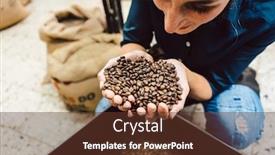  Presentation with coffee beans - PPT layouts having barista woman testing the aroma of fresh coffee beans sniffing background and a tawny brown colored foreground