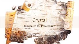 Presentation with birch bark - Colorful presentation design enhanced with bark of birch background backdrop and a lemonade colored foreground