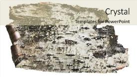  Presentation with birch bark - Amazing presentation design having bark of birch wooden background backdrop and a soft green colored foreground