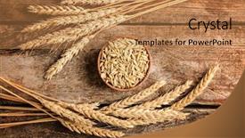  Presentation with bowl - Slides consisting of barley - malt in small bowl background and a coral colored foreground