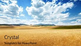  Presentation with tuscany - PPT theme enhanced with barley hills tuscany italy background and a gold colored foreground