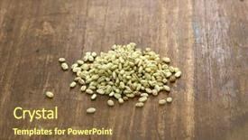 Presentation with aspergillus - Beautiful slides featuring barley koji whole grain barley backdrop and a tawny brown colored foreground