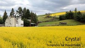  Presentation with rapeseed - Beautiful slides featuring barn in washington state backdrop and a  colored foreground